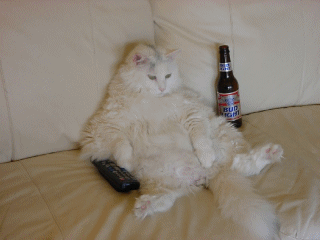 l alcool